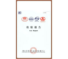 Test Report
